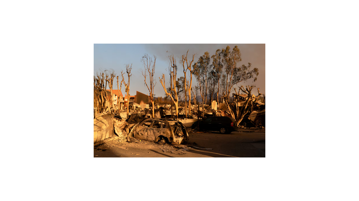The impact and direct cost of climate change
