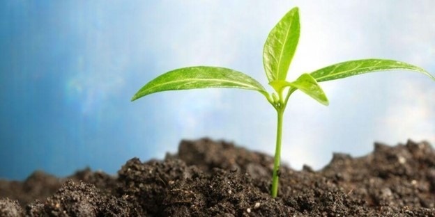 What Is ESG Investing?