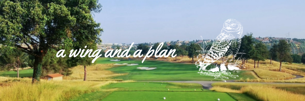 Lessons from the Links