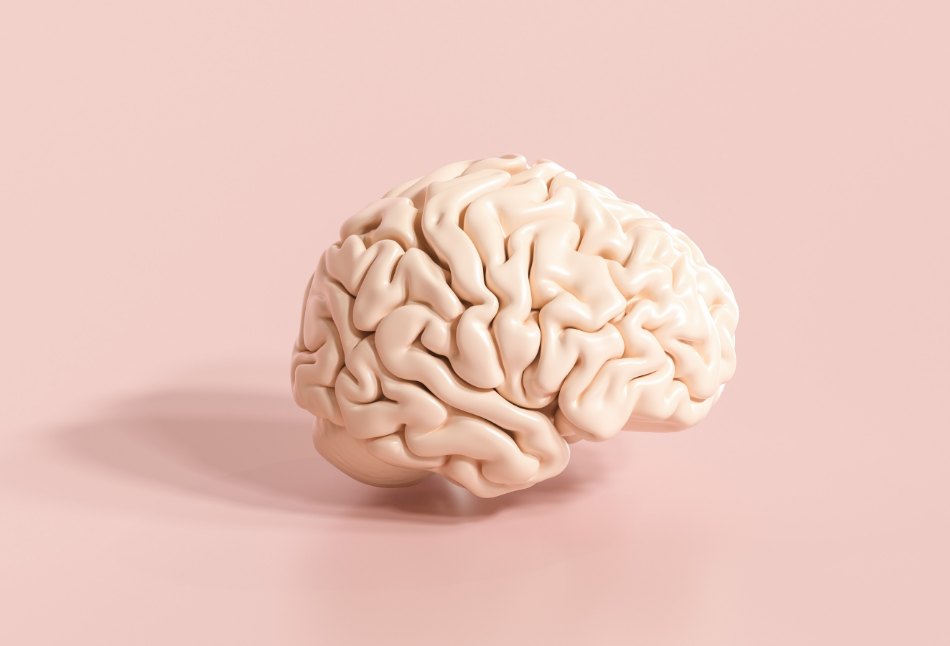 Net Worth Therapy: Counseling the Relationship Between Your Brain and Your Money