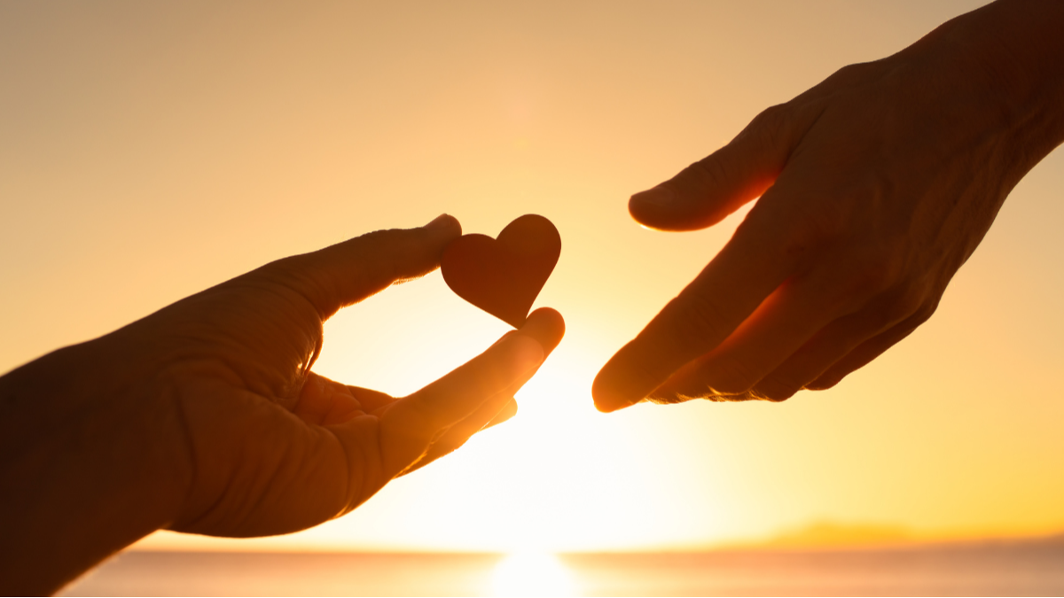 Assessing Charitable Donation Options: Private Foundations vs Donor-Advised Funds