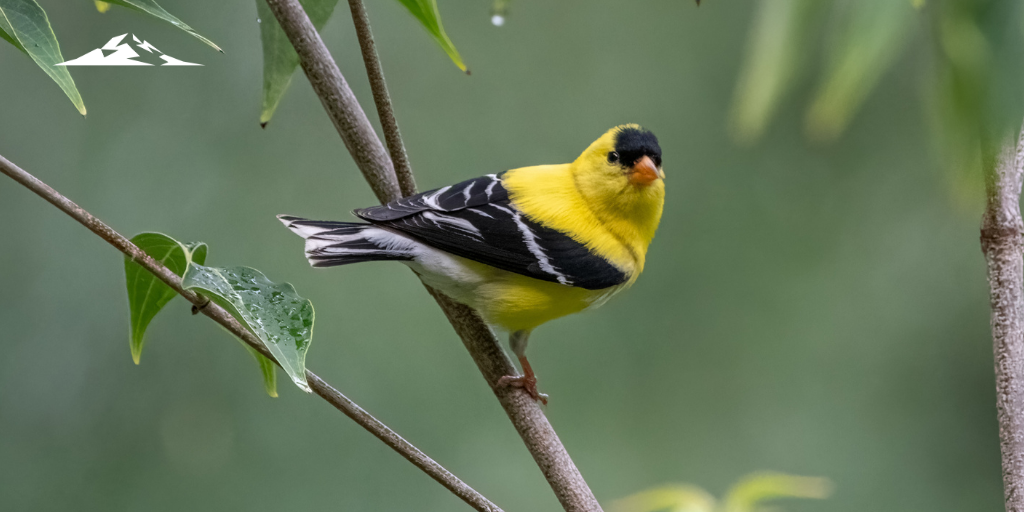 An Early Bird’s Guide to Year‑End Planning: 8 Steps to Review Before Q4