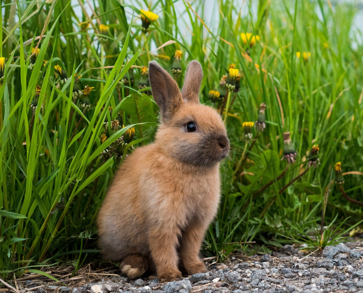 Weekly Market Insights | Wall Street Reacts to Middle East Conflict.