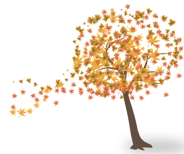 “Fall” Into Financial Planning