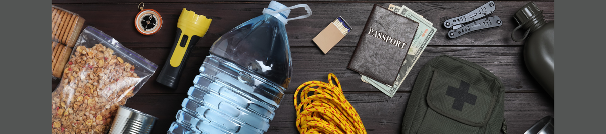 A Financial Perspective on Disaster Preparedness
