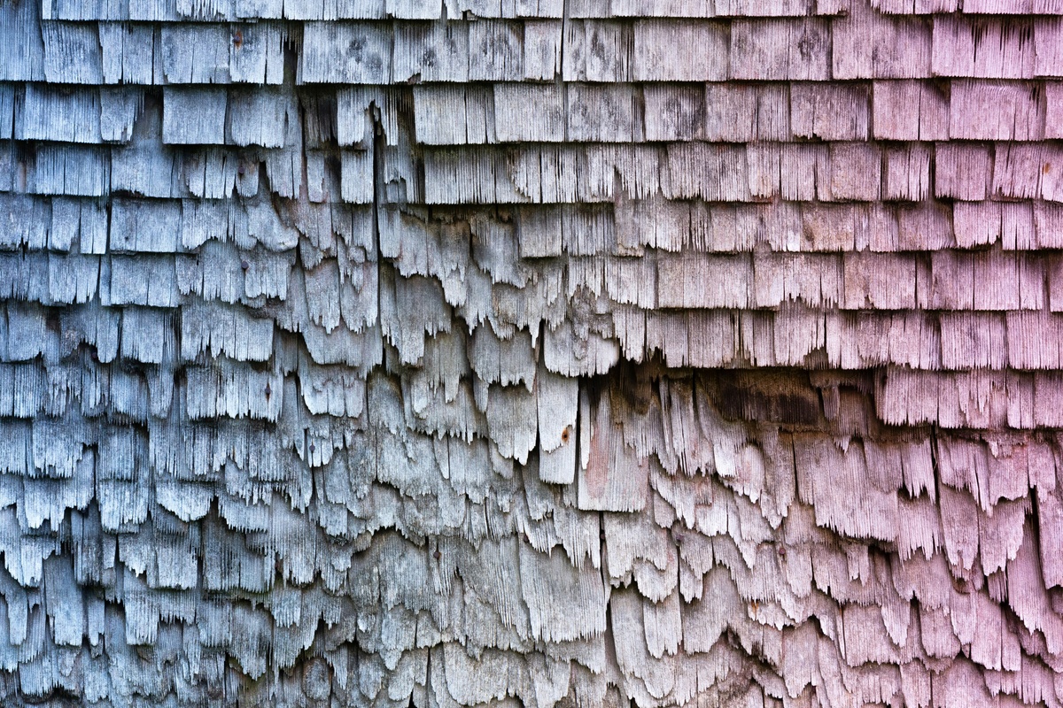 Protecting Your Home and Wallet: A Guide to Roof Maintenance and Insurance