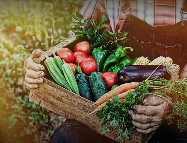 Insurance Needs Assessment: For Empty Nesters And Retirees