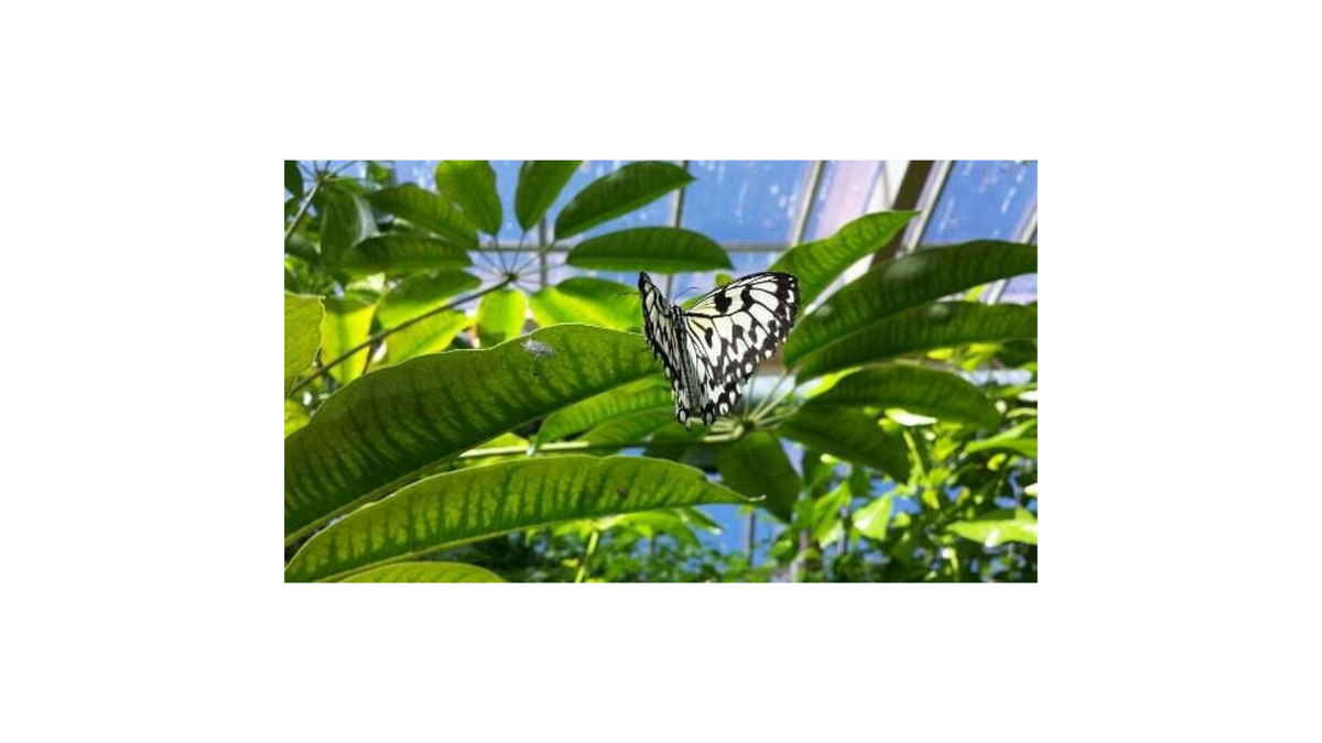 How I find clients or rather, how they find me.