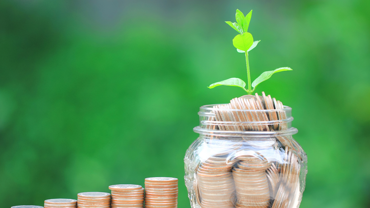 Donor Advised Funds: A Unique Way to Give