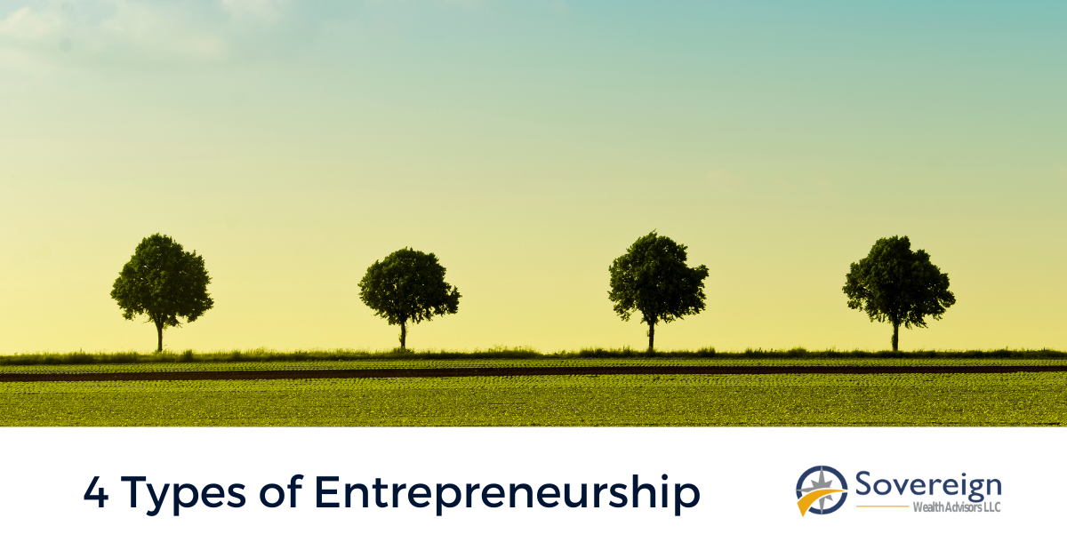 4 Types of Entrepreneurship