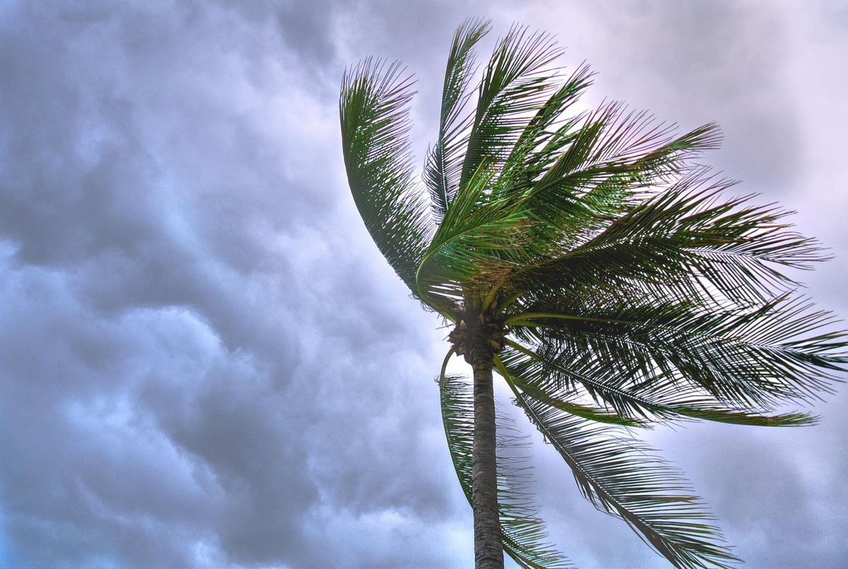 Florida Homeowners: Don’t Fall for These Hurricane Safety Myths