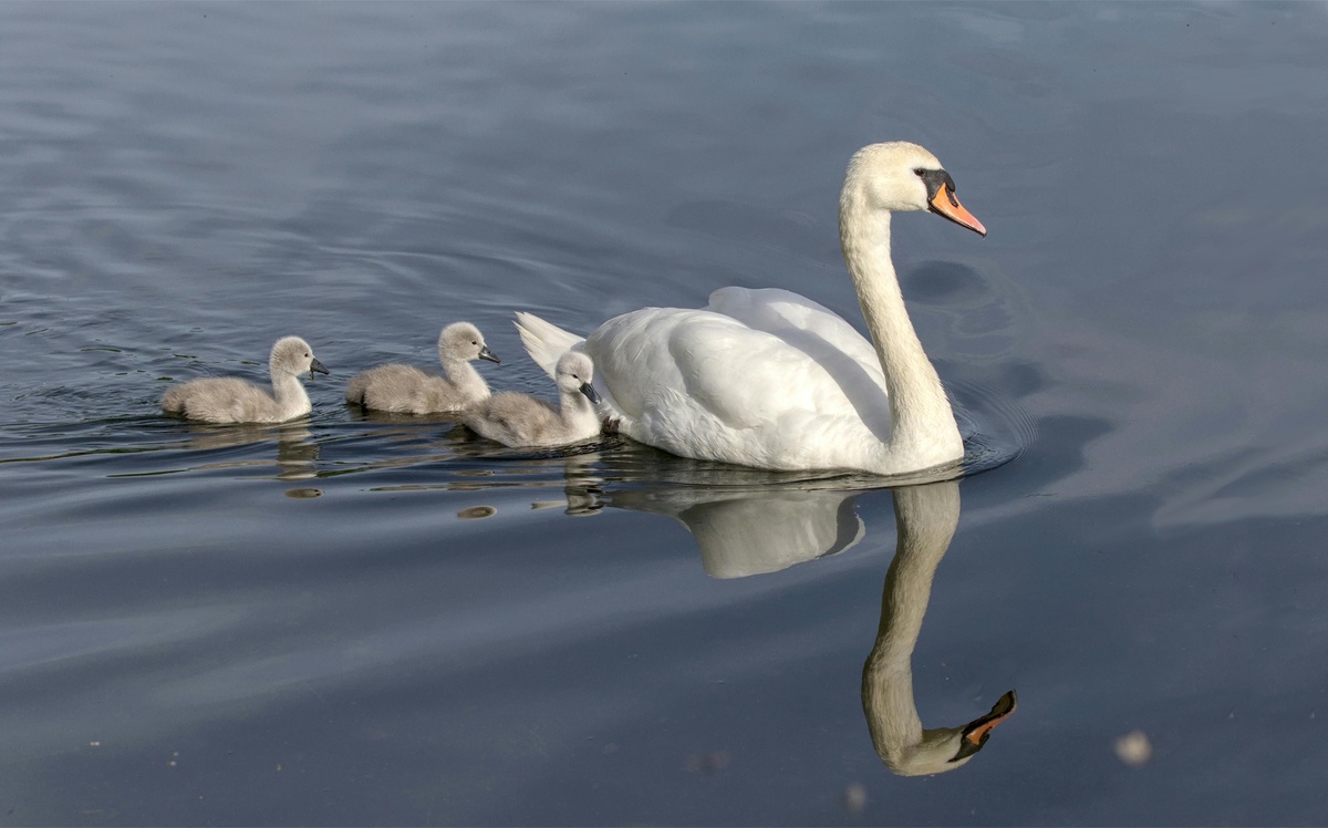 Balancing Support & Your Retirement