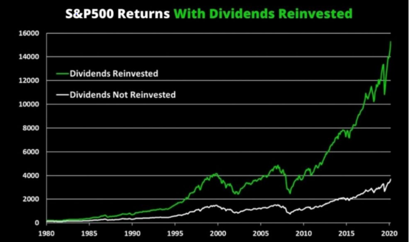 The Impact of Dividends on Your Investments