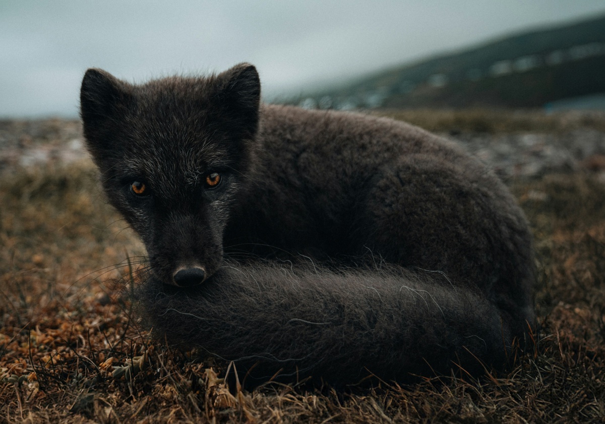 Weekly Market Insights: Fed Cuts Interest Rate by Half-Point