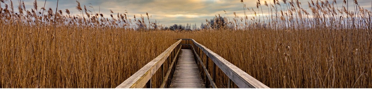 Year-End Financial Moves to Maximize Your Momentum