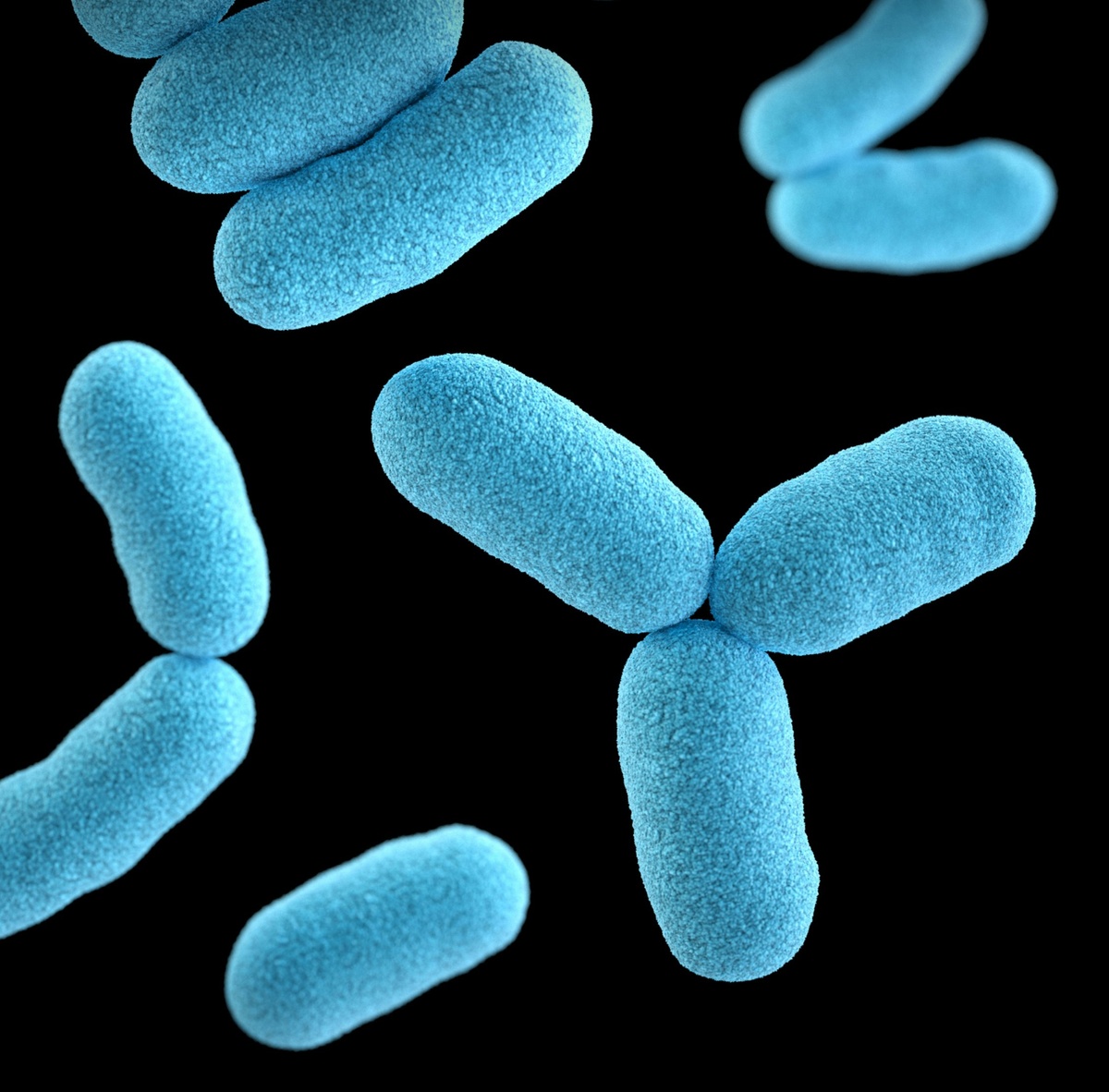 Meet the Trillions Living Inside You