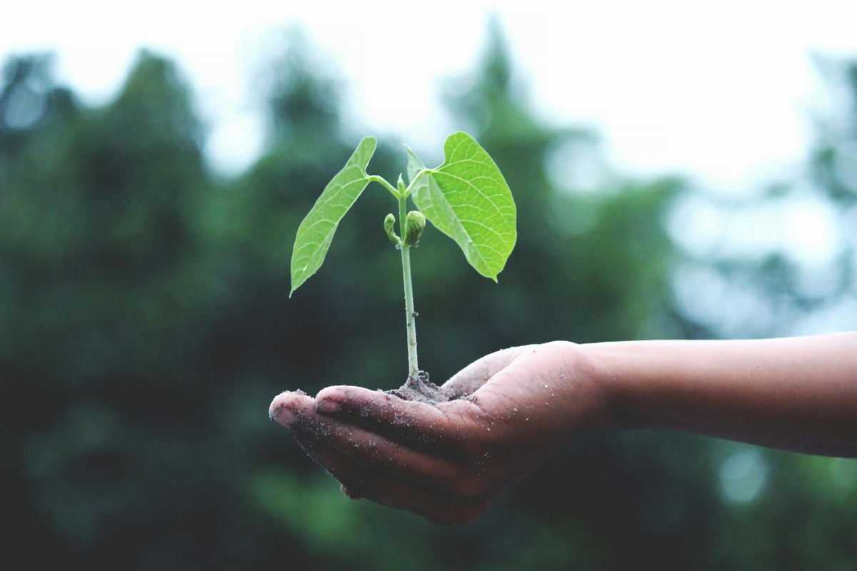 Grow Your Net Worth – A Step By Step Guide