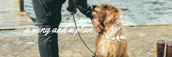 Watch the owner, not the dog