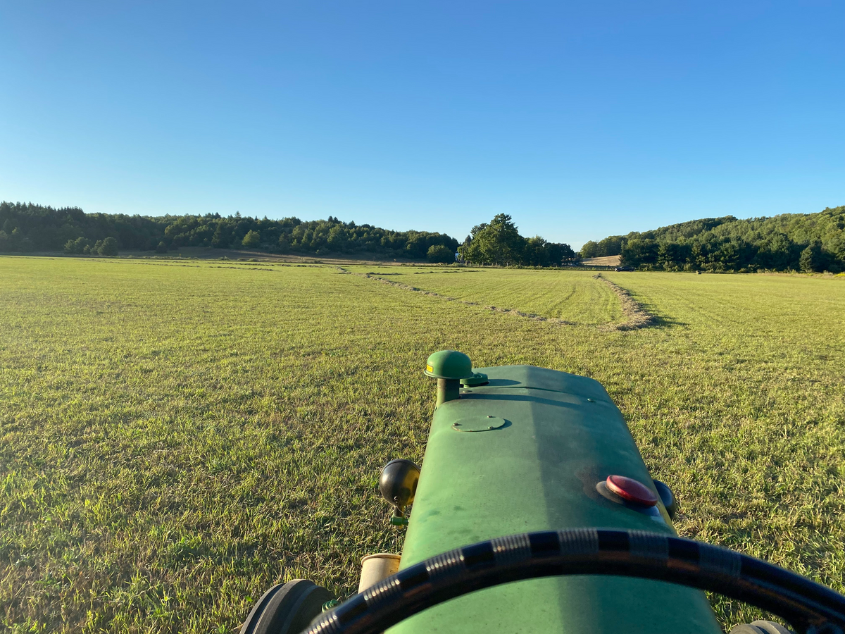 Letting Go Without Losing Your Legacy: Financial guidance for family property transitions