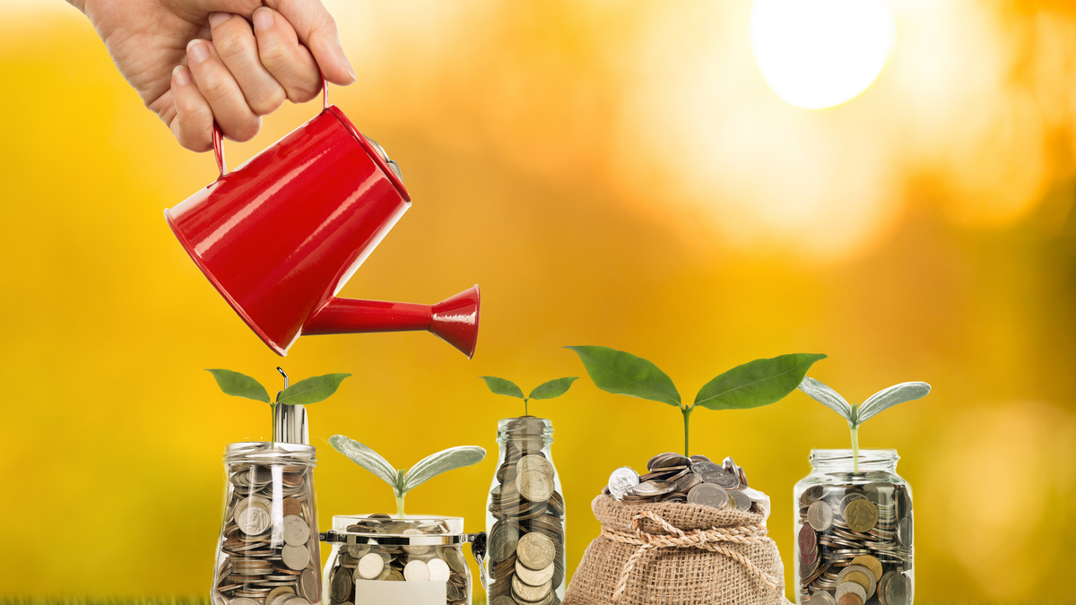 Creating a Healthy Financial Portfolio With Agemy Financial Strategies