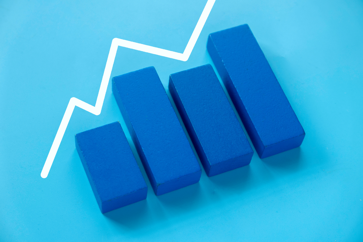 Investment Commentary: Q4 2024 Insights