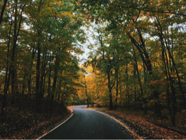 Financial Planning for Executives: Navigating Your 401(k) When You Max it Out Mid-Year
