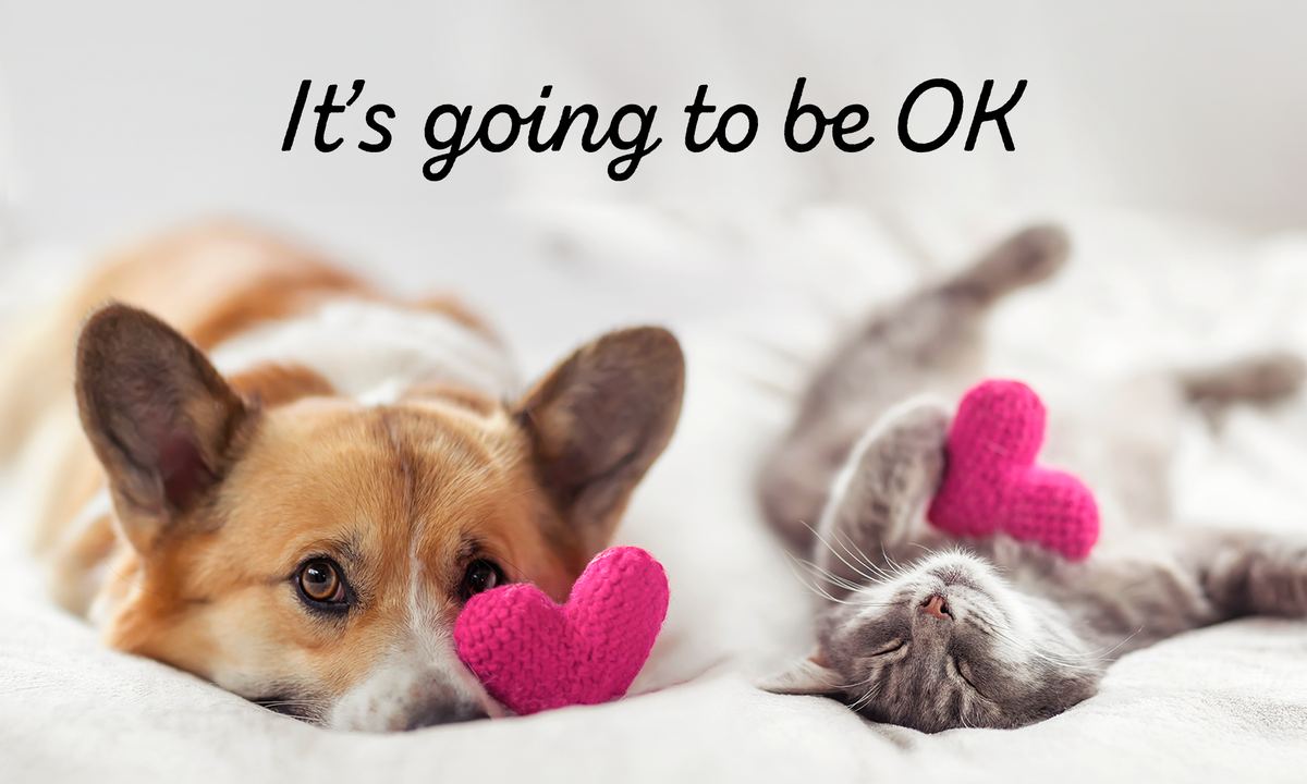 Why it's going to be OK (hope inside)