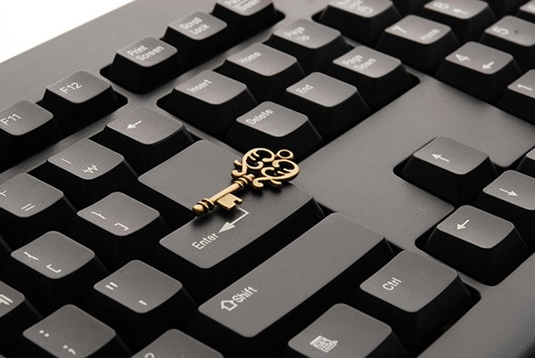 One Login Leads to (Almost) Everything Governmental