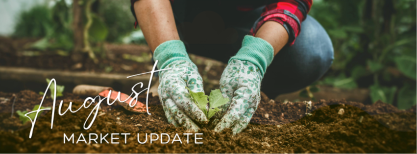 August Market Update: Not Every Tomato Ripens