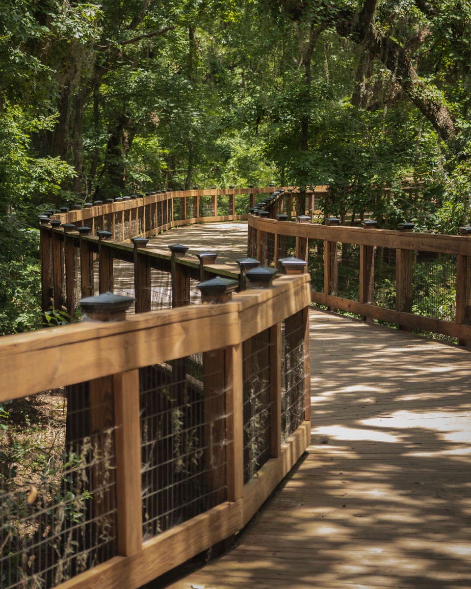 Fun activities in Lakewood Ranch
