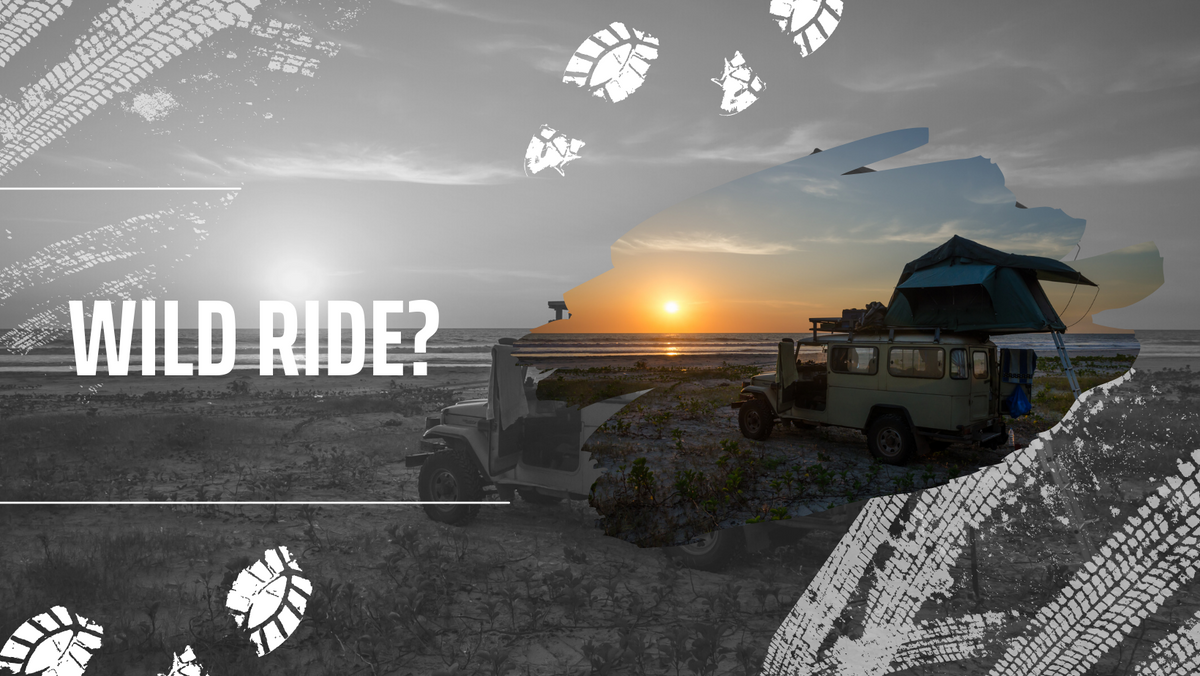 Wild Ride?