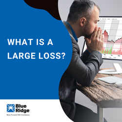What Is a Large Loss?