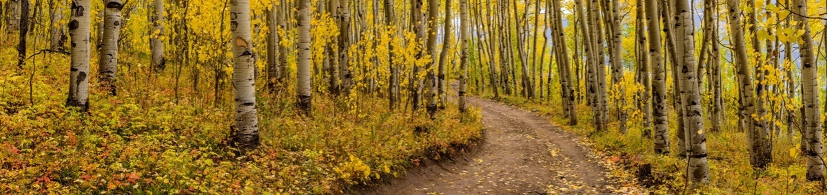 Maximize Retirement with Year-End Financial Moves