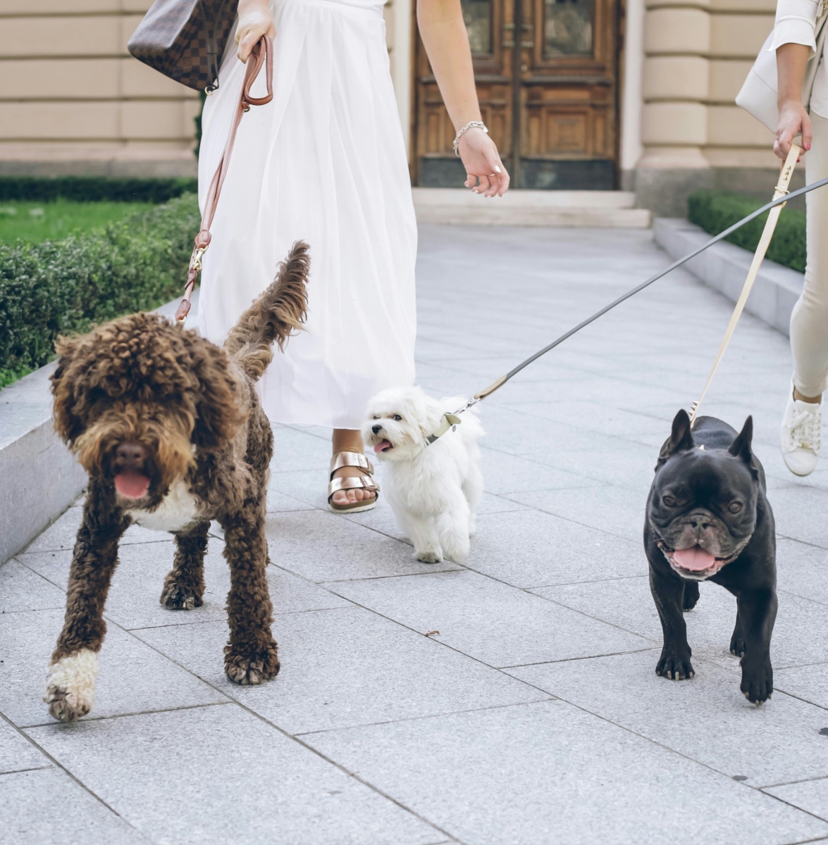 PARENTS: Your Teen Can Open a Roth IRA