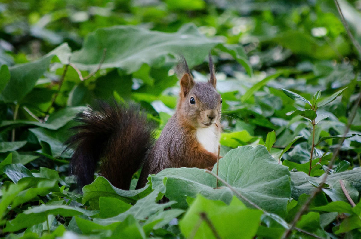 Weekly Market Insights | New Indicators Rattle Investors