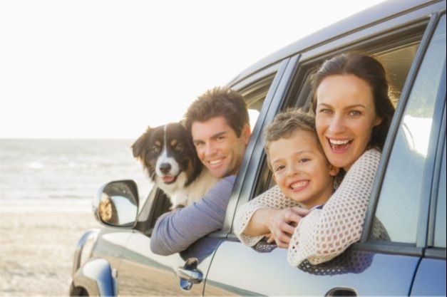 Auto Insurance Rates Have Gone Down... For Now