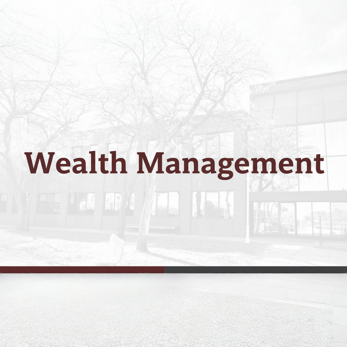 wealth-management-explained