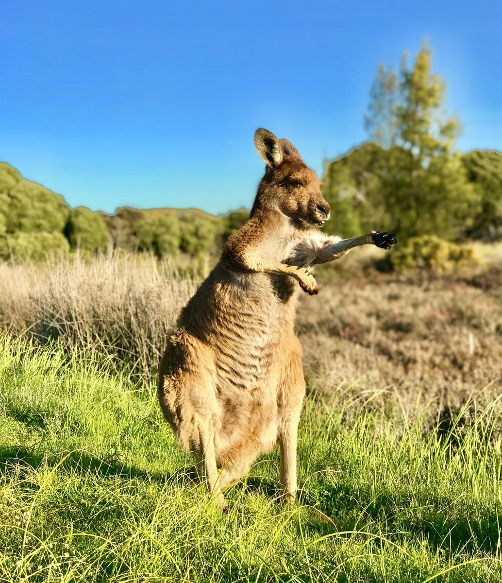 Weekly Market Insights | Markets Process Tariff Deals, New Data