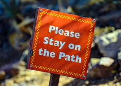 The Roth IRA Advantage Under the Final RMD Rules