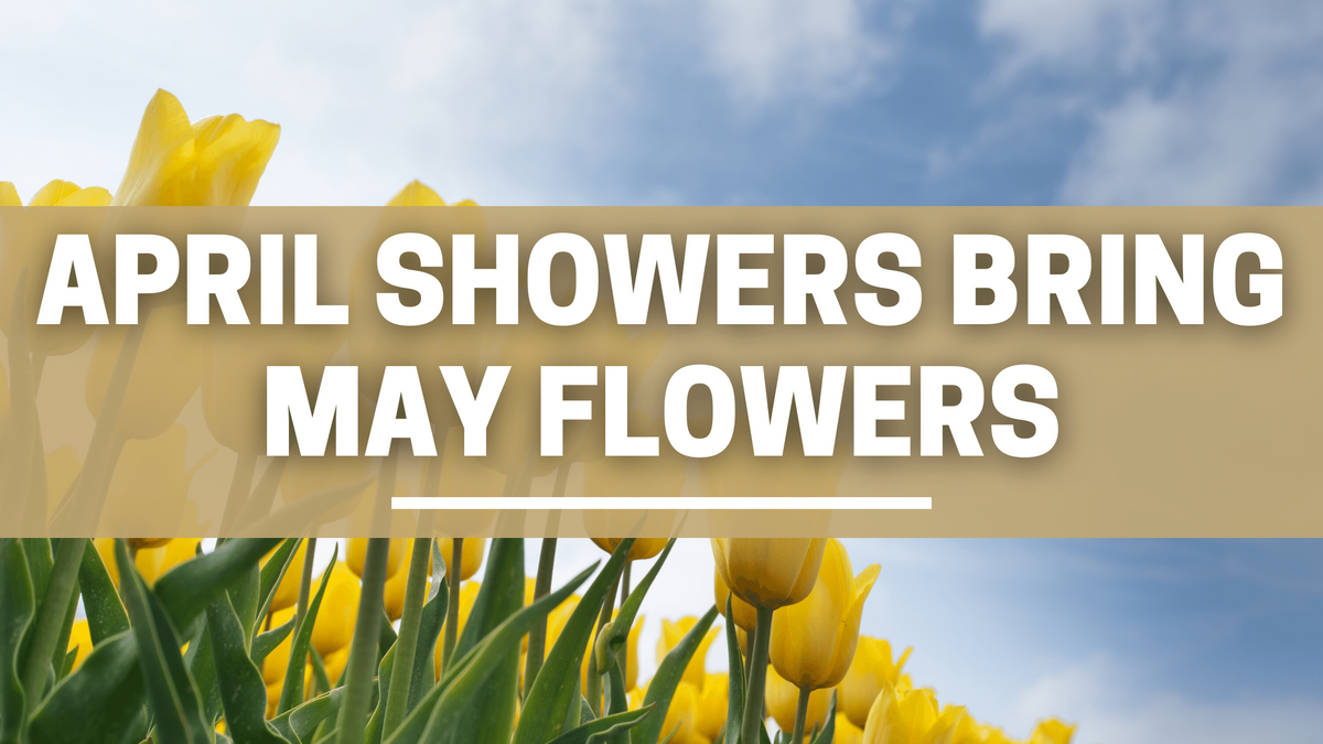 April Showers Bring May Flowers
