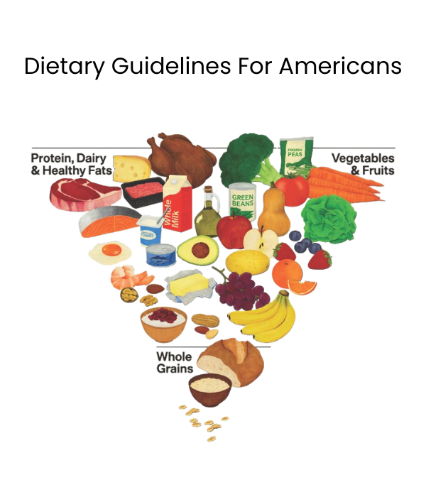 Why Our Bodies Need All Three Macronutrients — And Why Carbs Are Not the Enemy