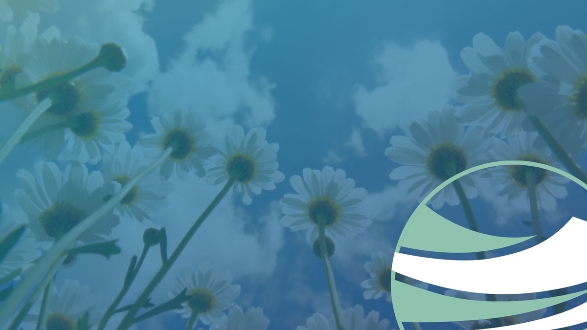 Navigating Inheritance as a Beneficiary