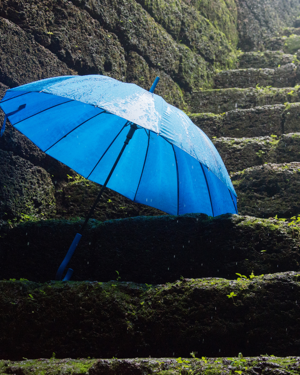 What Is an Umbrella Policy and Do You Need One?