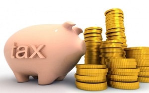 What Do Your Taxes Pay For?