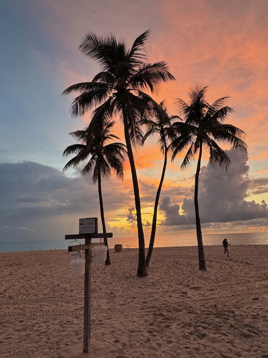 Navigating U.S. Government Shutdowns