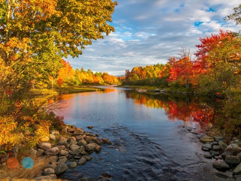 Roth Conversions: Why Fall Is the Perfect Time to Revisit Your Strategy