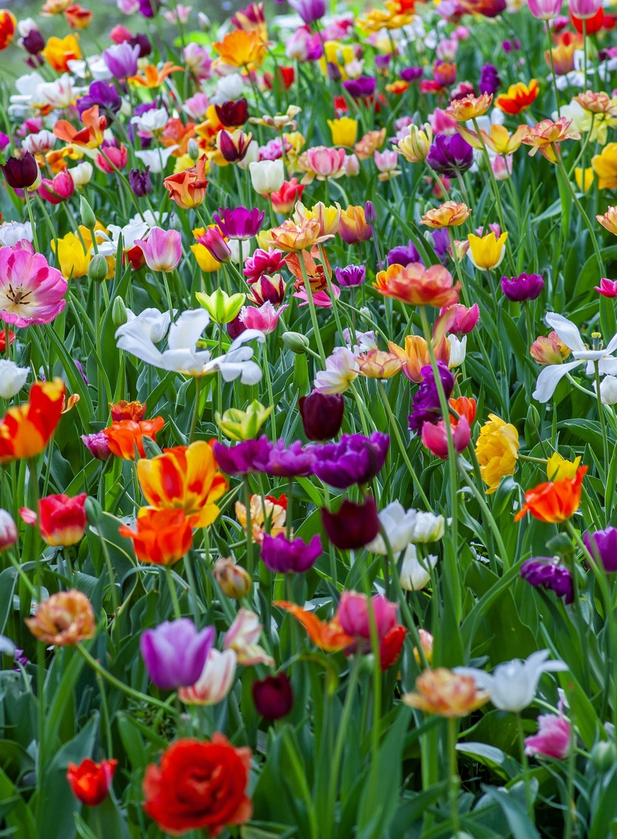 Weekly Market Insights: Investors Anticipate Fed Rate Change