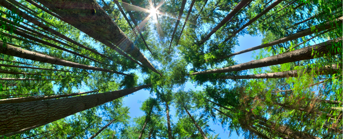 Five timeless principles for investing success