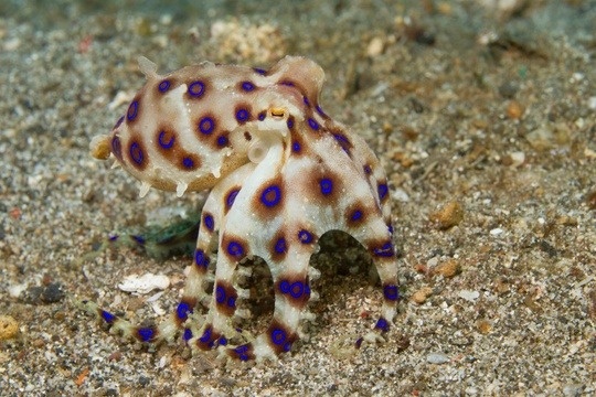 Maynerich Financial Weekly Market Insights | Investors React to Mixed Signals