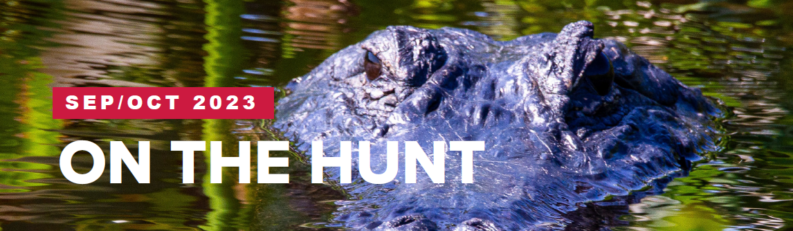Headwinds and the Hunt for Crocs